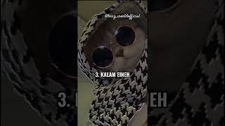 Download lagu how many Arabic songs do u know ||arabic songs||#aesthetic #@beez world official 🦋 mp3 Download lagu how many Arabic songs do u know ||arabic songs||#aesthetic #@beez world official 🦋 mp3