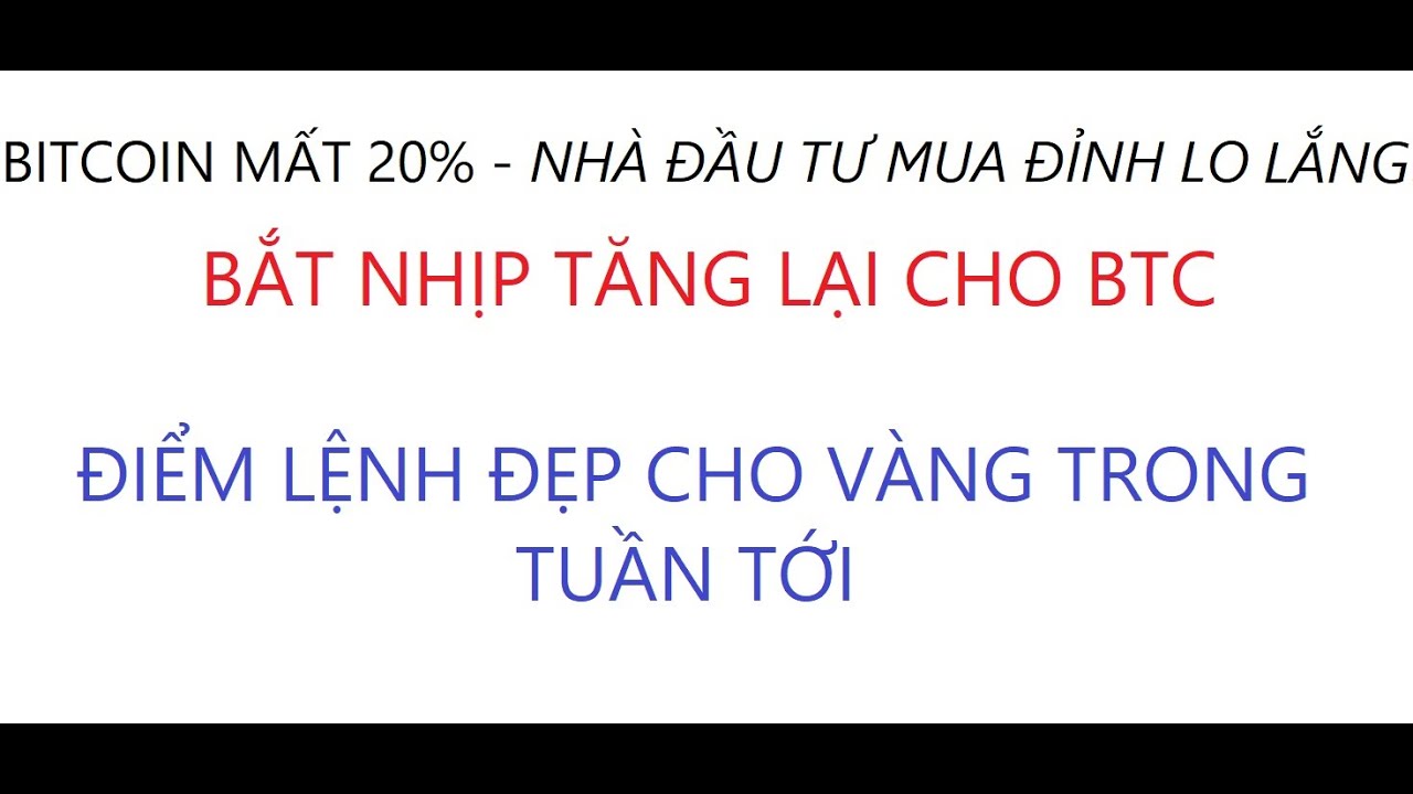 Bắt nhịp tăng lại cho Bitcoin ./. Chờ mổ thịt cậu vàng