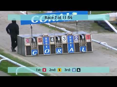 Friday 13th January 2023