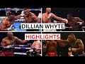 Dillian Whyte (19 KO's) Highlights & Knockouts