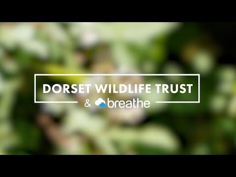 Dorset Wildlife Trust - Customer Success Story (Steve Davis - Head of Human Resources and Volunteering)