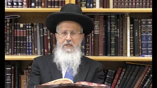 הגאון הרב אברהם יוסף שליט"א האם מותר לברך את ברכת האילנות על עץ מורכב (הערוץ של הרב אברהם יוסף) - התמונה מוצגת ישירות מתוך אתר האינטרנט יוטיוב. זכויות היוצרים בתמונה שייכות ליוצרה. קישור קרדיט למקור התוכן נמצא בתוך דף הסרטון