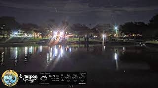 Florida · Spring Bayou Manatee live stream