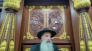 שולחן ערוך או"ח סימן תרע"ח - תרפ"ד - הלכות חנוכה | הרב מאיר דוד שמואלי