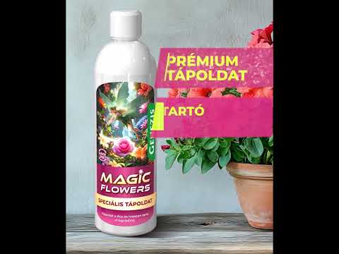 A Magic Flowers varázsa
