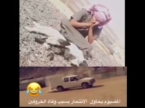 ماتو غنم المضيوم وقرر الانتحار!! شوفو وش صار في الاخير ههههههههههه