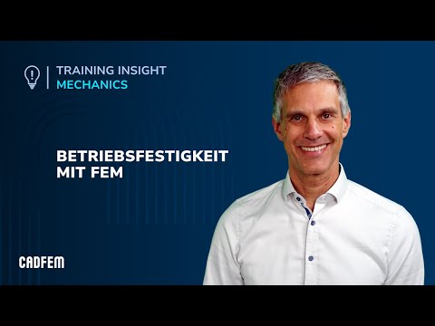 Betriebsfestigkeit mit FEM – schnell verstehen und anwenden | Training Insight