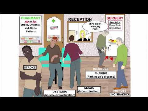 Three Minute Thesis - Lauren Miterko - Runner Up