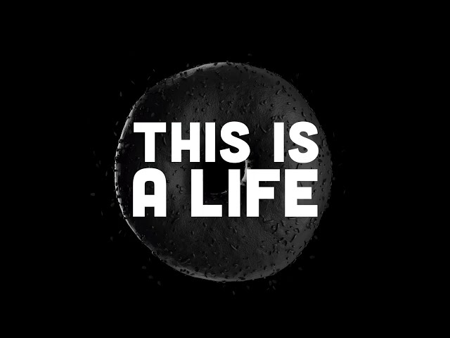 youtube play