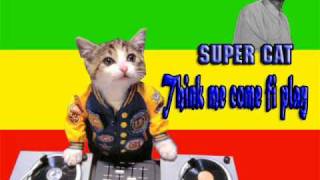 Super cat - think mi come fi play