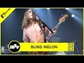 Blind Melon- Tones of Home | Live @ Metro