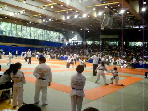 Brukiii fera do judo