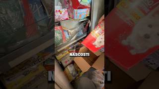 Ritrovamenti in Edicola 🫣 prodotti e collezioni vintage nascosti dimenticati | A caccia di Pokemon