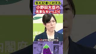 【失礼記者】小野田大臣の見事なキレっぷり  #政治 #小野田紀美 #失礼記者  #絶対民主主義なすび