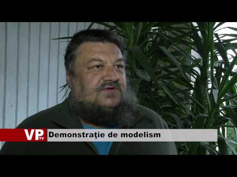 Demonstraţie de modelism