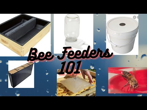 , title : 'Bee Hive Feeders 101...  What type of bee feeder should I use?'