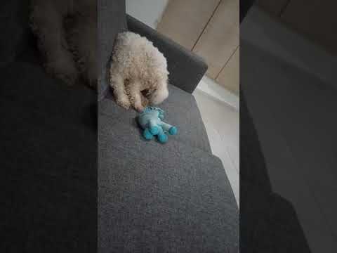 57th Gene Key - Gene Key 57