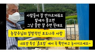샤인머스켓 나무가 왜 이렇게 많이 죽었을까요?  '흙토람' 에서 내토양 특성 알아보는 방법을 알려드릴게요~