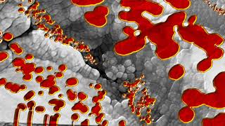 Ozric Tentacles - Cracker Blocks [Visualization] (V2-MD2)