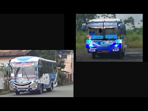 persigue bus coop Trans Montalvo los Ríos Ecuador 13 02