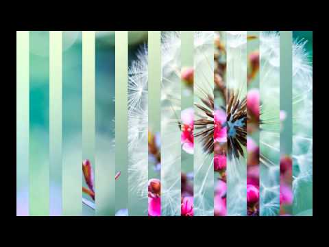 Indian most beautyful flowers.