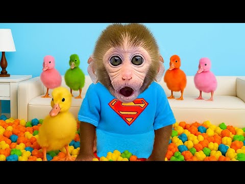 Scimmia Bon Bon e l'anatroccolo guardano i cartoni animati e mangiano caramelle colorate