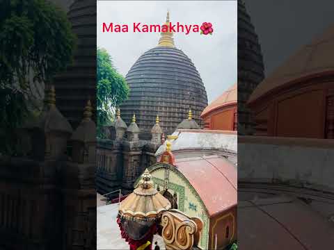 🙏🙏🙏🙏🙏🙏