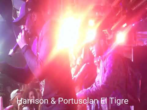 Harryson & Portusclan El Tigre