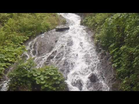 Forrásliget és a Gutin-hágó közötti jelzetlen fakitermelő úton lévő vízesés HD