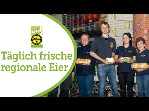 Teamarbeit für täglich frische regionale Eier
