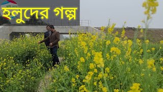 হলুদ নড়াইলের গল্প। সরিষা আবাদ বাড়ানোর উপায়।