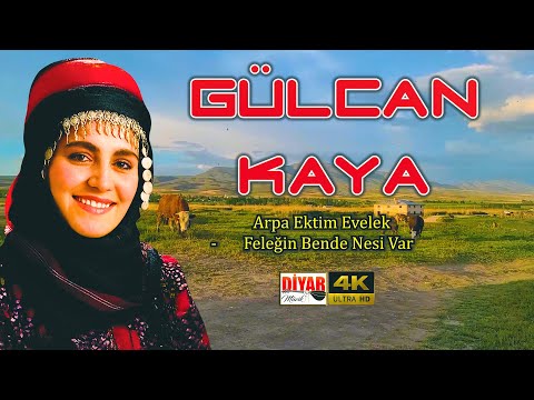 Gülcan Kaya - Arpa Ektim Evelek / Bilmem Şu Feleğin Bende Nesi Var