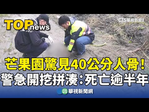 芒果園驚見40公分人骨！　警急開挖拼湊：死亡逾半年