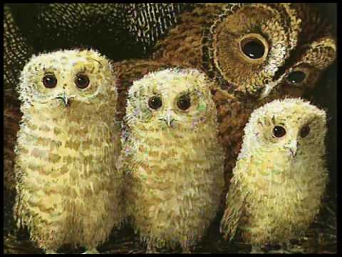 Teletubbies - Owl Babies (S01E13)