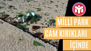Milli Park Cam Kırıkları İçinde, Doğayı Mahvetmek Bu Olsa Gerek