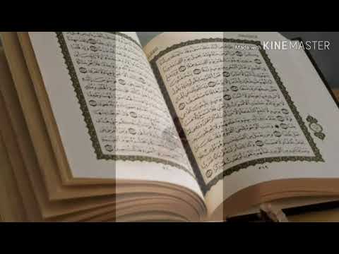 Surat muhammad 12-19