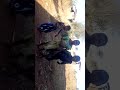 Ngobho Makumbusho Video Clip