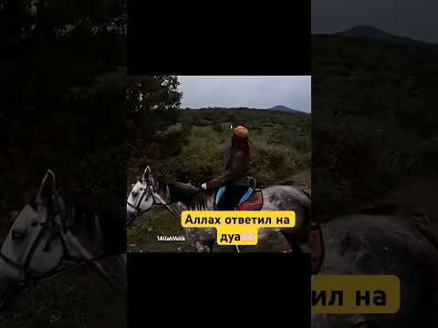 ЕСЛИ СЕЙЧАС ДАСТ МОЛНИЮ ТО НАЧНЕШЬ ЧИТАТЬ НАМАЗ😱😱😱 #рек #напоминание #субханаллах #ислам