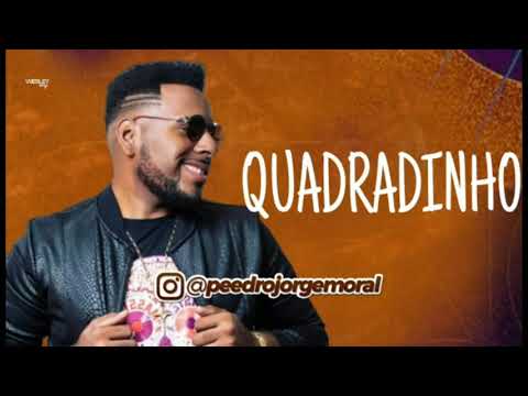 QUADRADINHO [NOVA] - O FALCÃO #ULTRABACURINHA