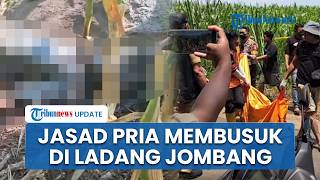 Kronologi Penemuan Jasad Pria Membusuk di Ladang Jagung Wonosalam Jombang, Ada HP di Saku Korban