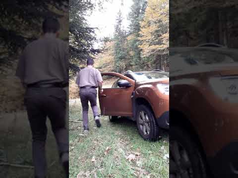 Duster dacia 2019 4×4 dci 110 cv