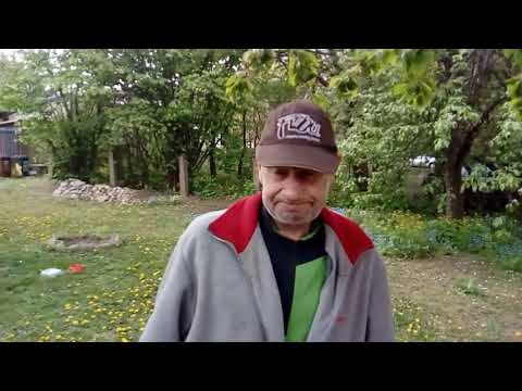 jan rodo| mexicano tv