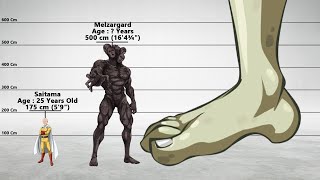 One Punch Man Characters: Age & Height Comparisons