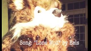 Lone Wolf - Eels