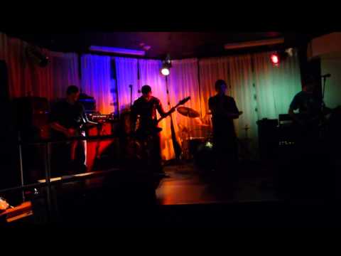 Pandemic Chop Suey! (System of a Down Cover) [Live at Vibe Lounge, 1/12/13]