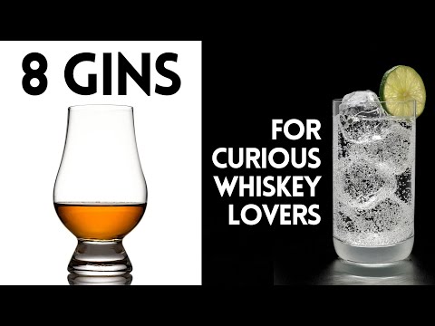World's FANCIEST man schools WHISKEY Lovers about GIN
