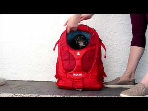 Kurgo G-Train Dog Carrier Backpack