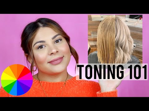 HOW TO TONE HAIR THE RIGHT WAY | PRO HAIRDRESSER TIPS