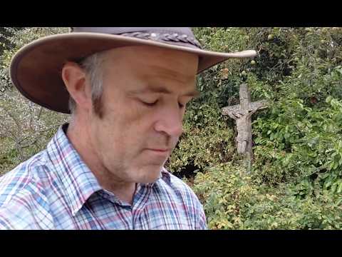 Comment ces grosses pommes en pleine sécheresse nous mènent à prendre conscience de l'essentiel.