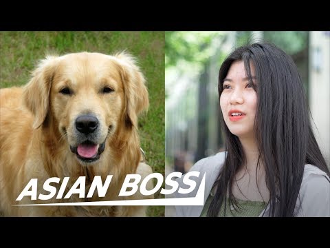 Do All Chinese Really Eat Dog Meat? (Street Interview) | ASIAN BOSS